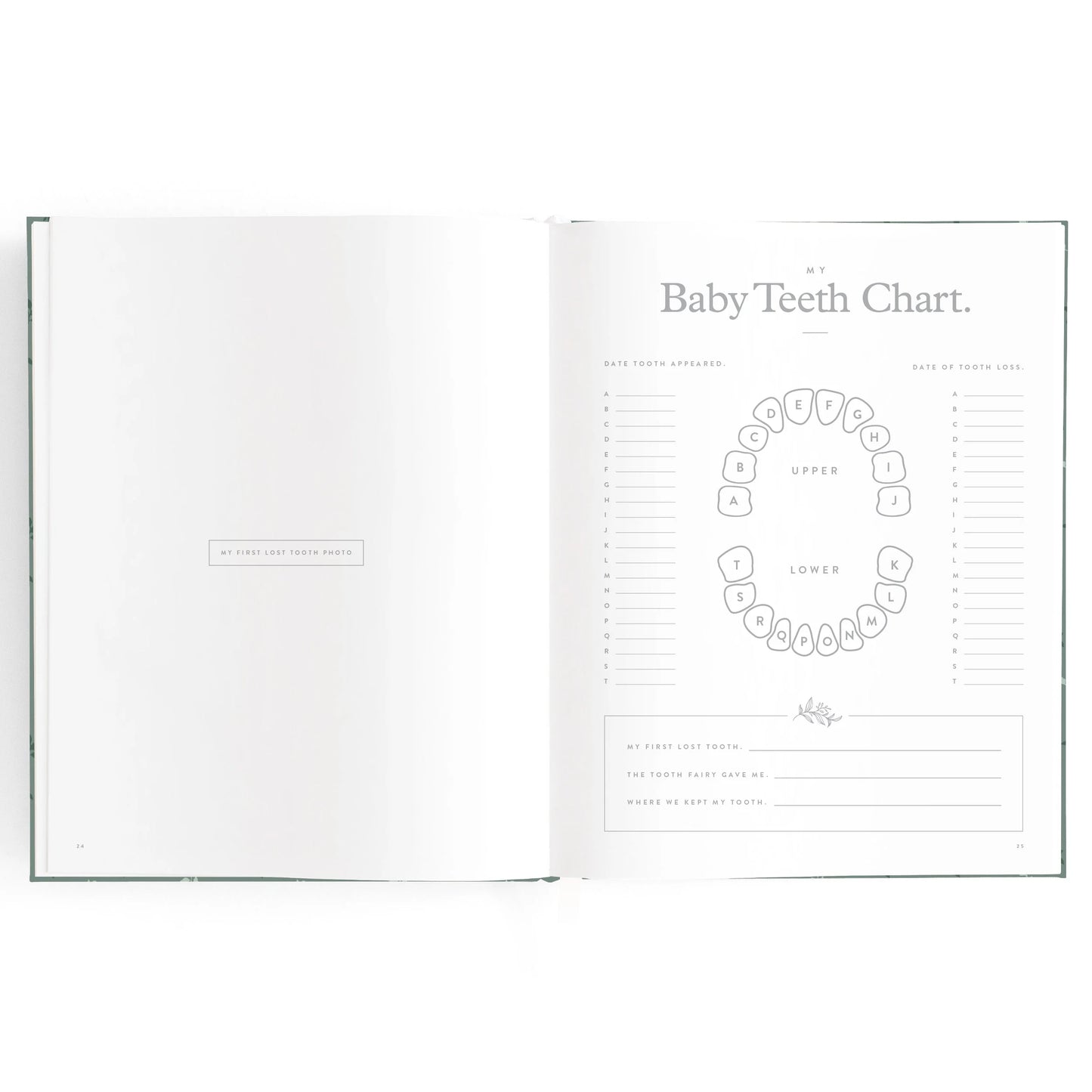 Baby Book Pine